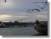Istanbul_0956.jpg