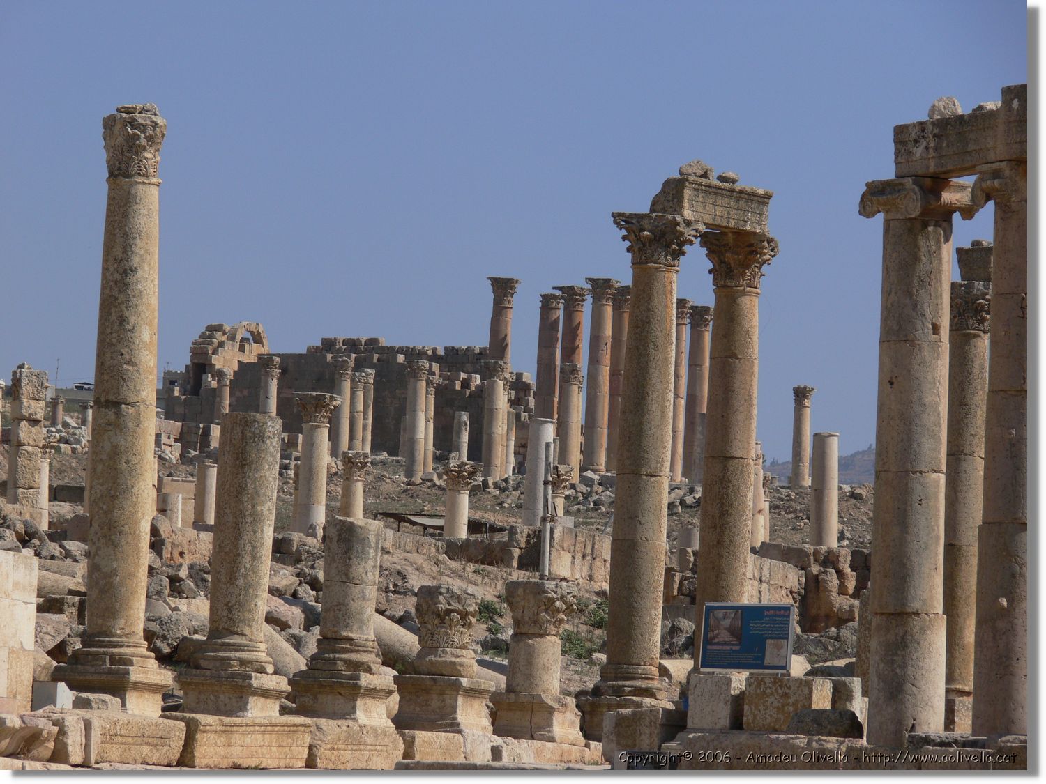 Jerash_025.jpg