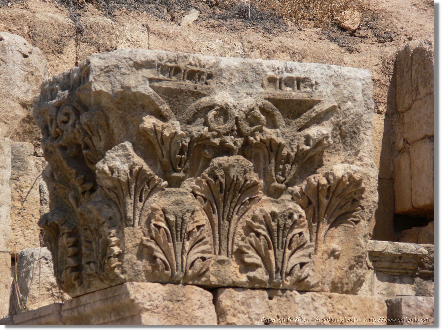 Jerash_060.jpg