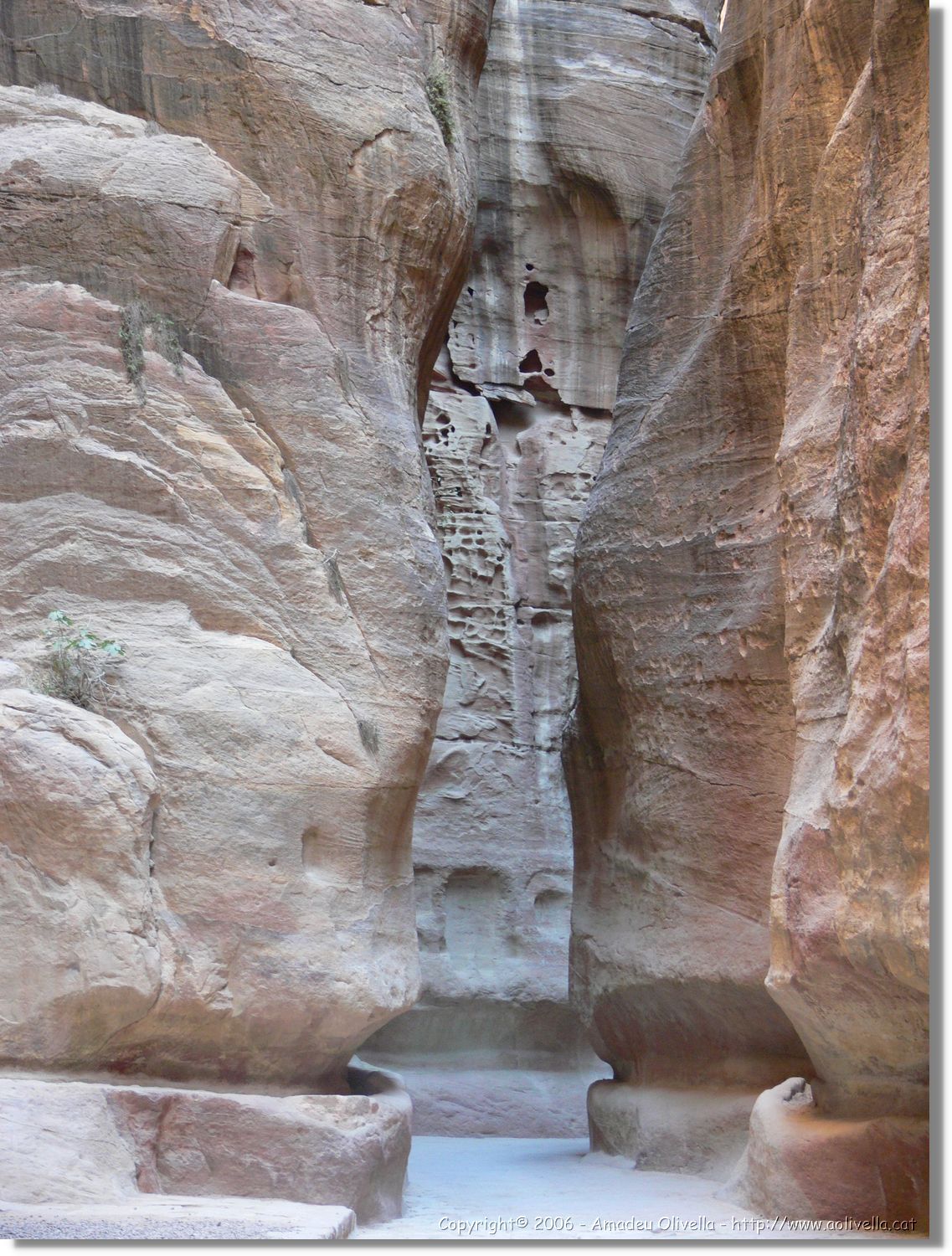 Petra_053.jpg