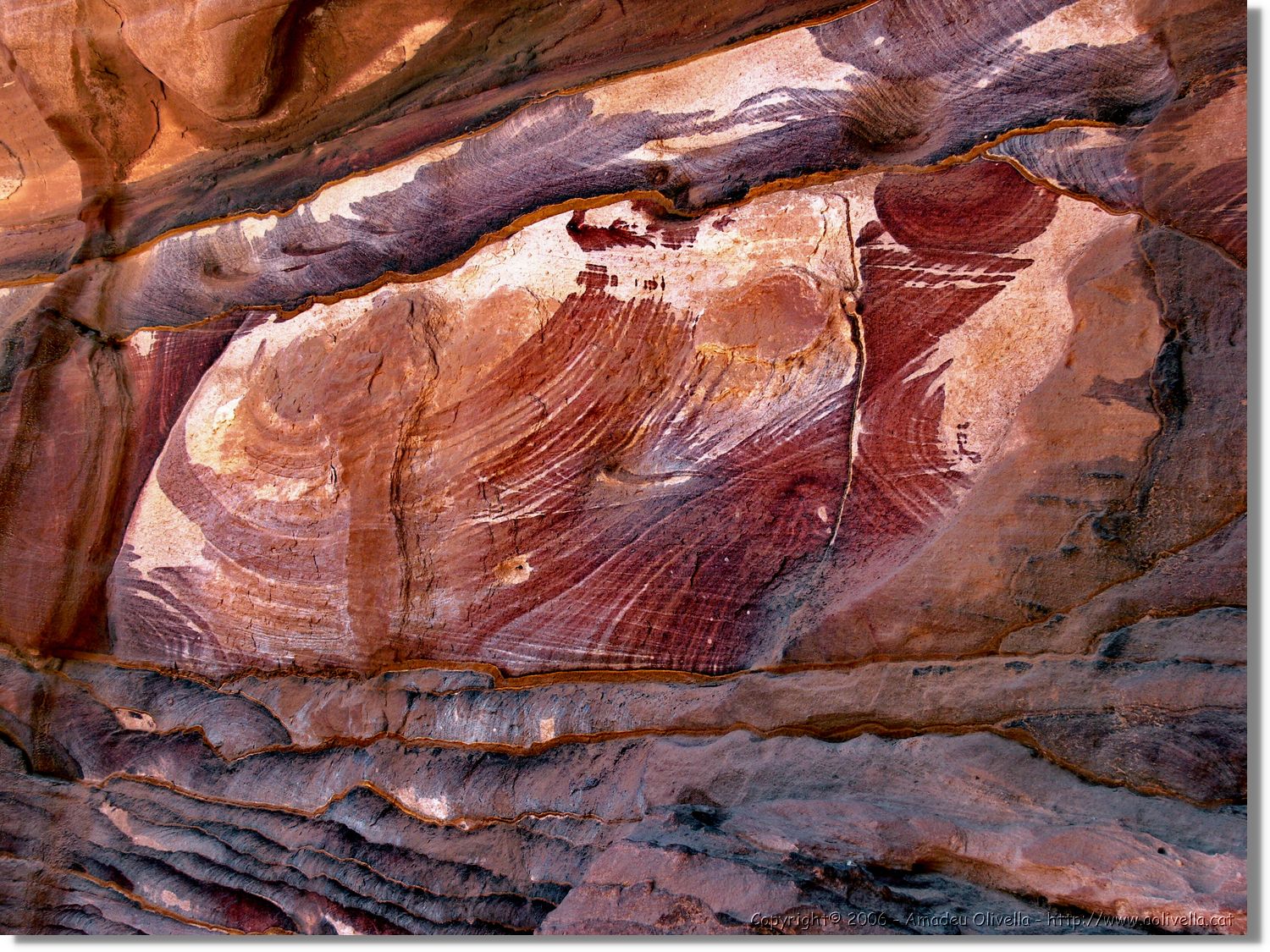 Petra_202.jpg