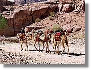 Petra_265.jpg