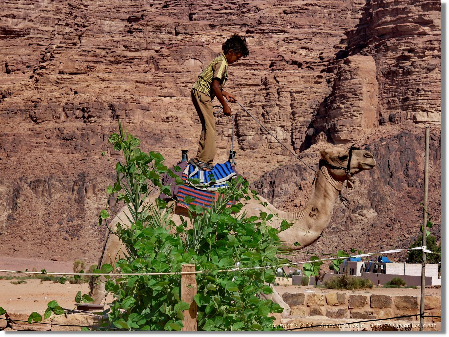 WadiRum_166.jpg