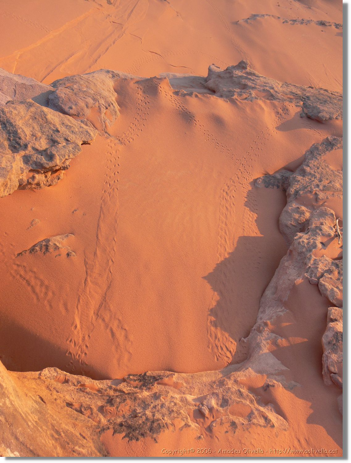 WadiRum_267.jpg