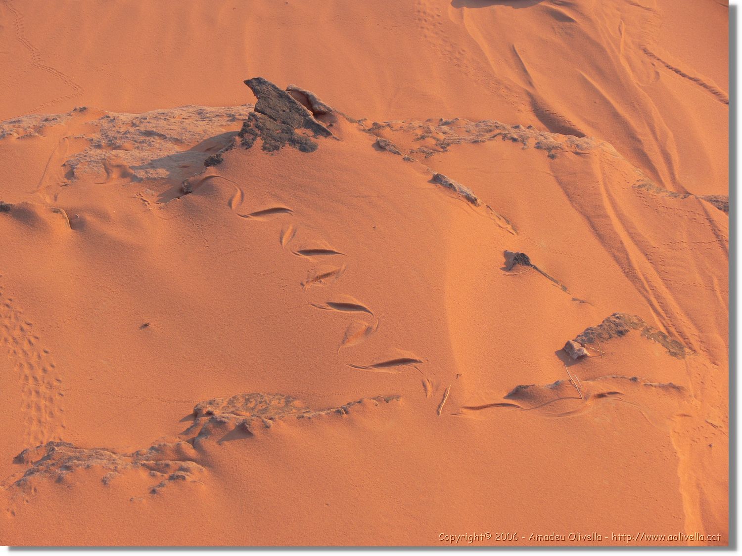 WadiRum_269.jpg