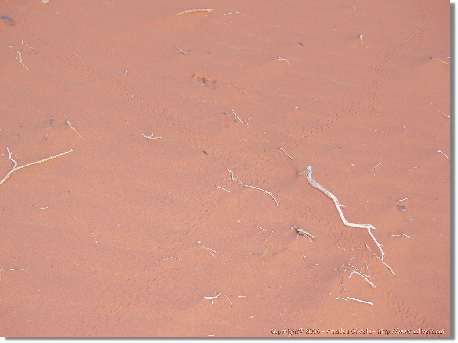 WadiRum_270.jpg