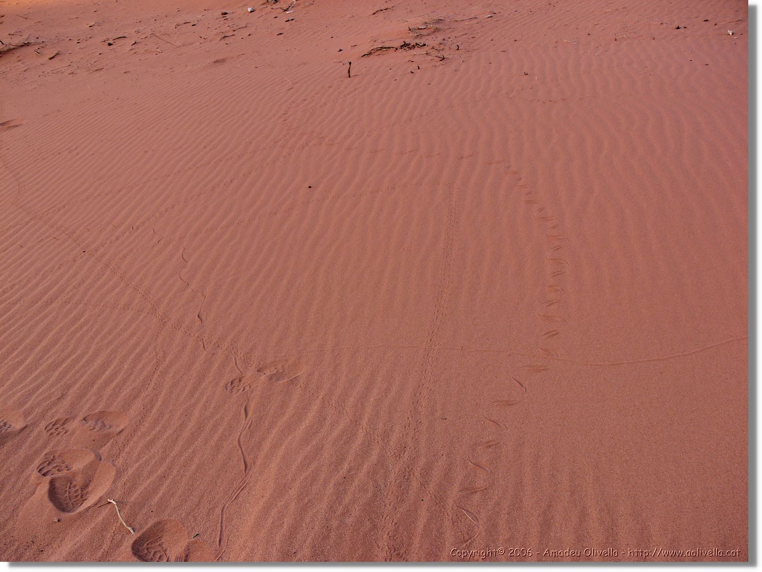 WadiRum_273.jpg