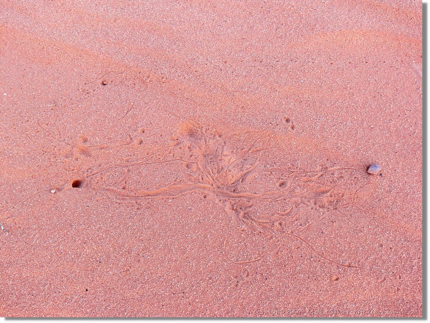 WadiRum_280.jpg