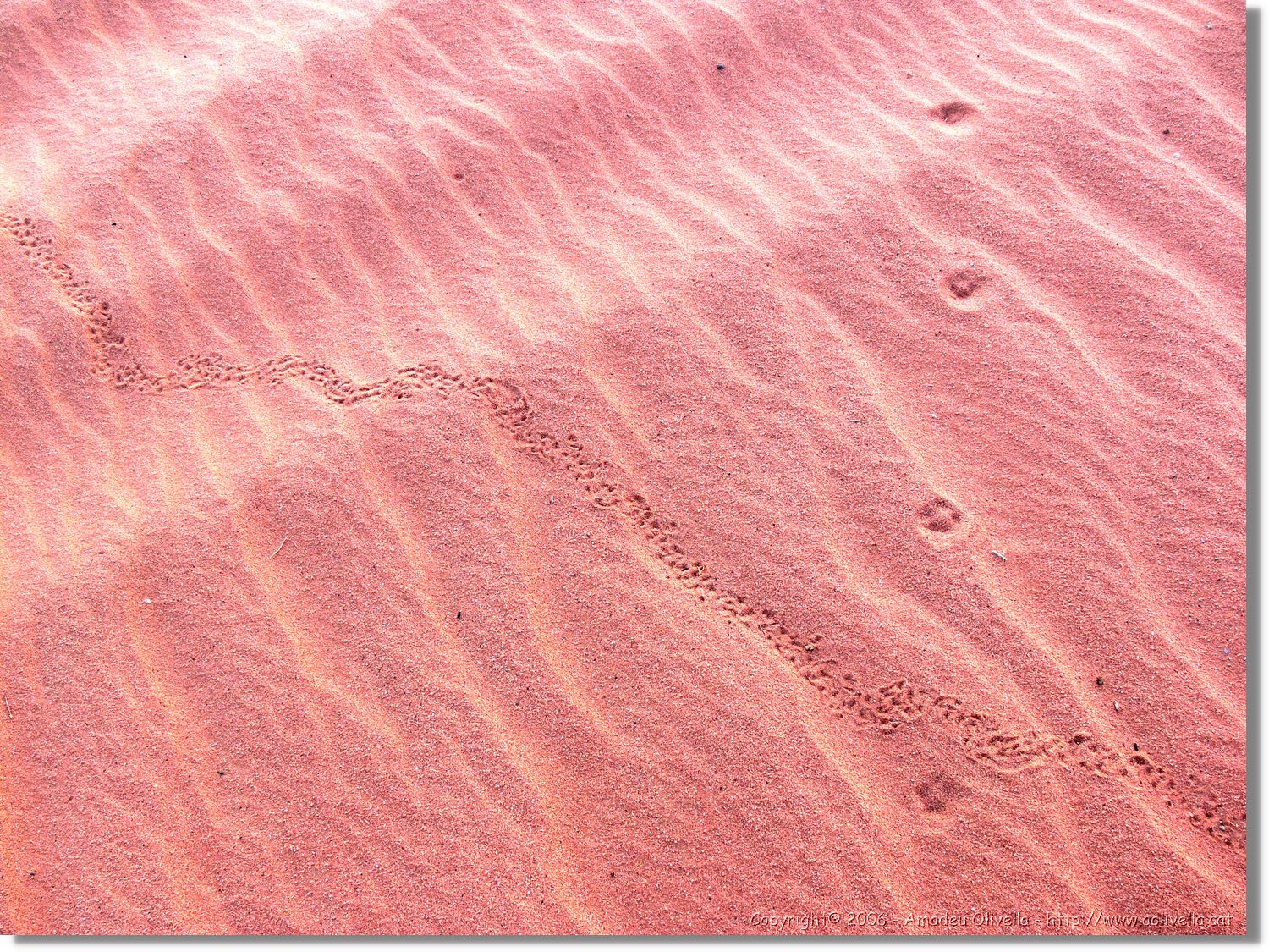 WadiRum_281.jpg