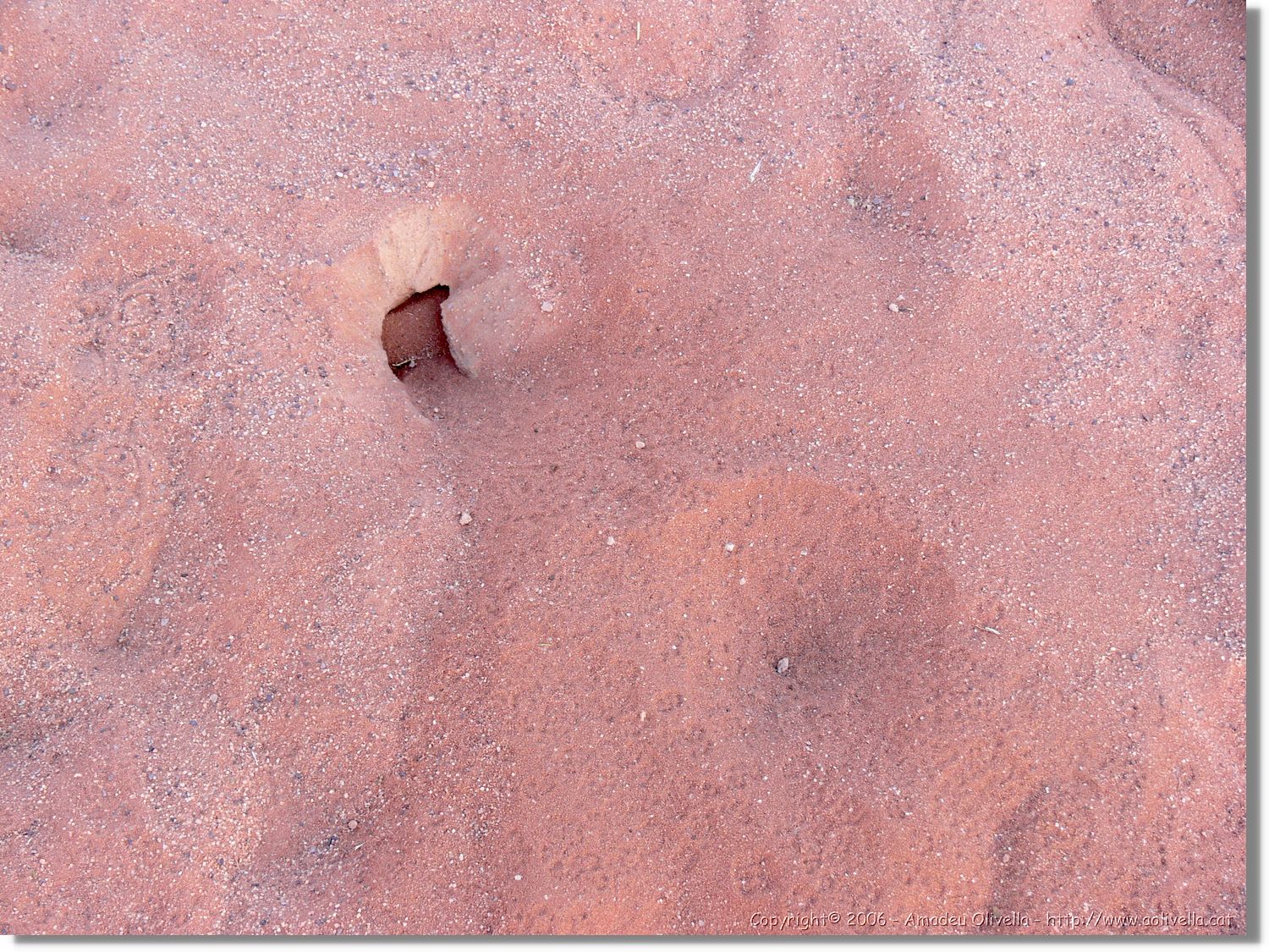 WadiRum_291.jpg