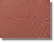 WadiRum_271.jpg