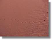 WadiRum_272.jpg