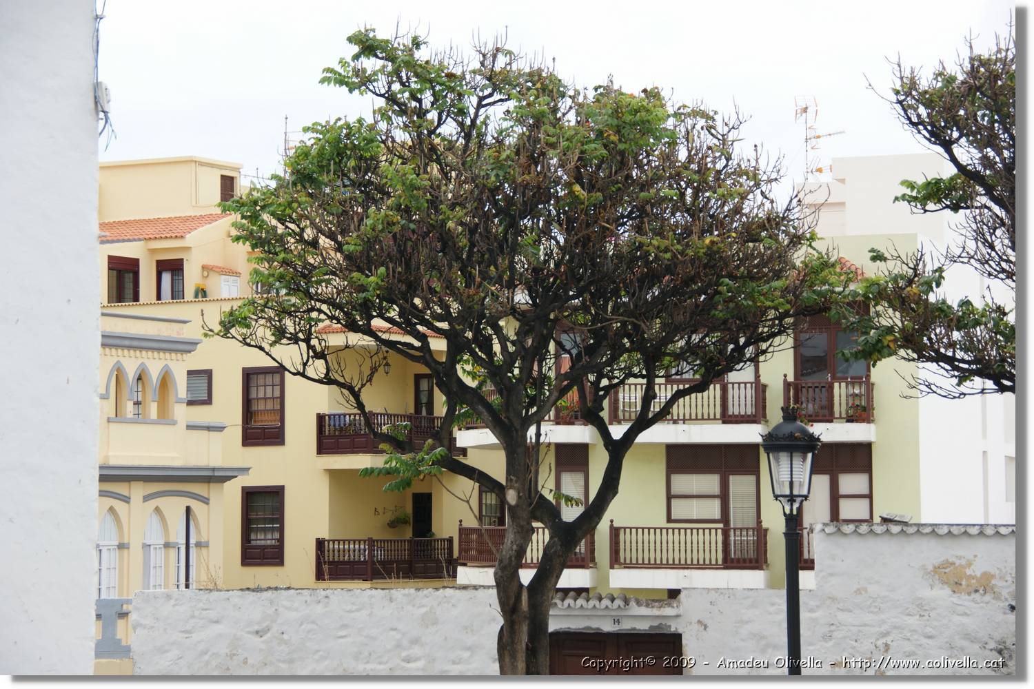 StaCruz_072.jpg