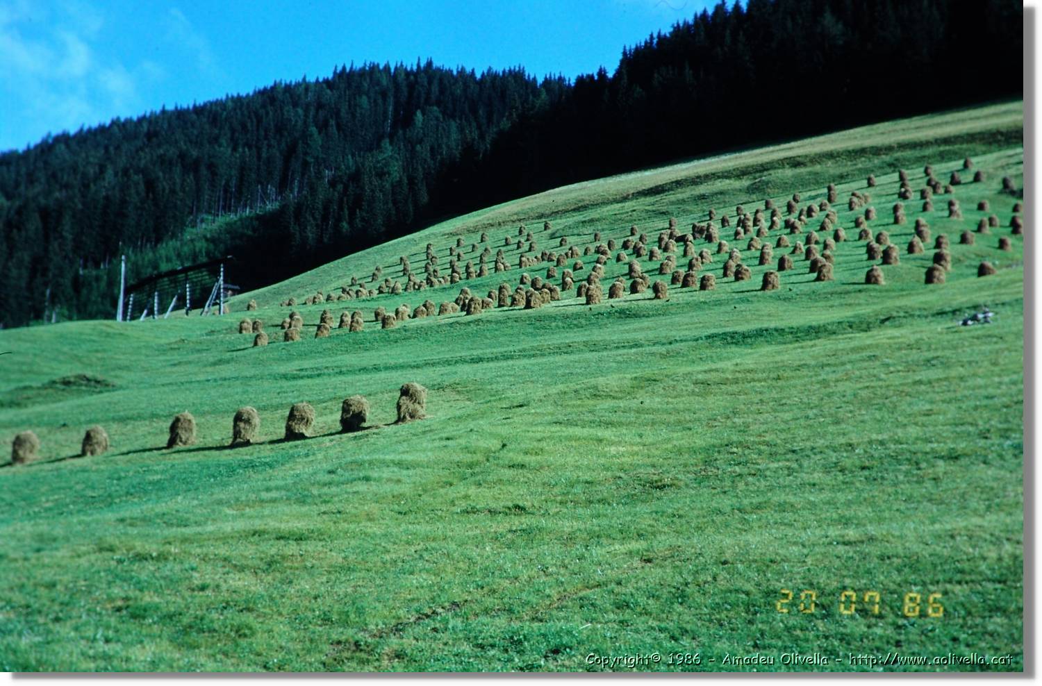 Lesachtal_109.jpg