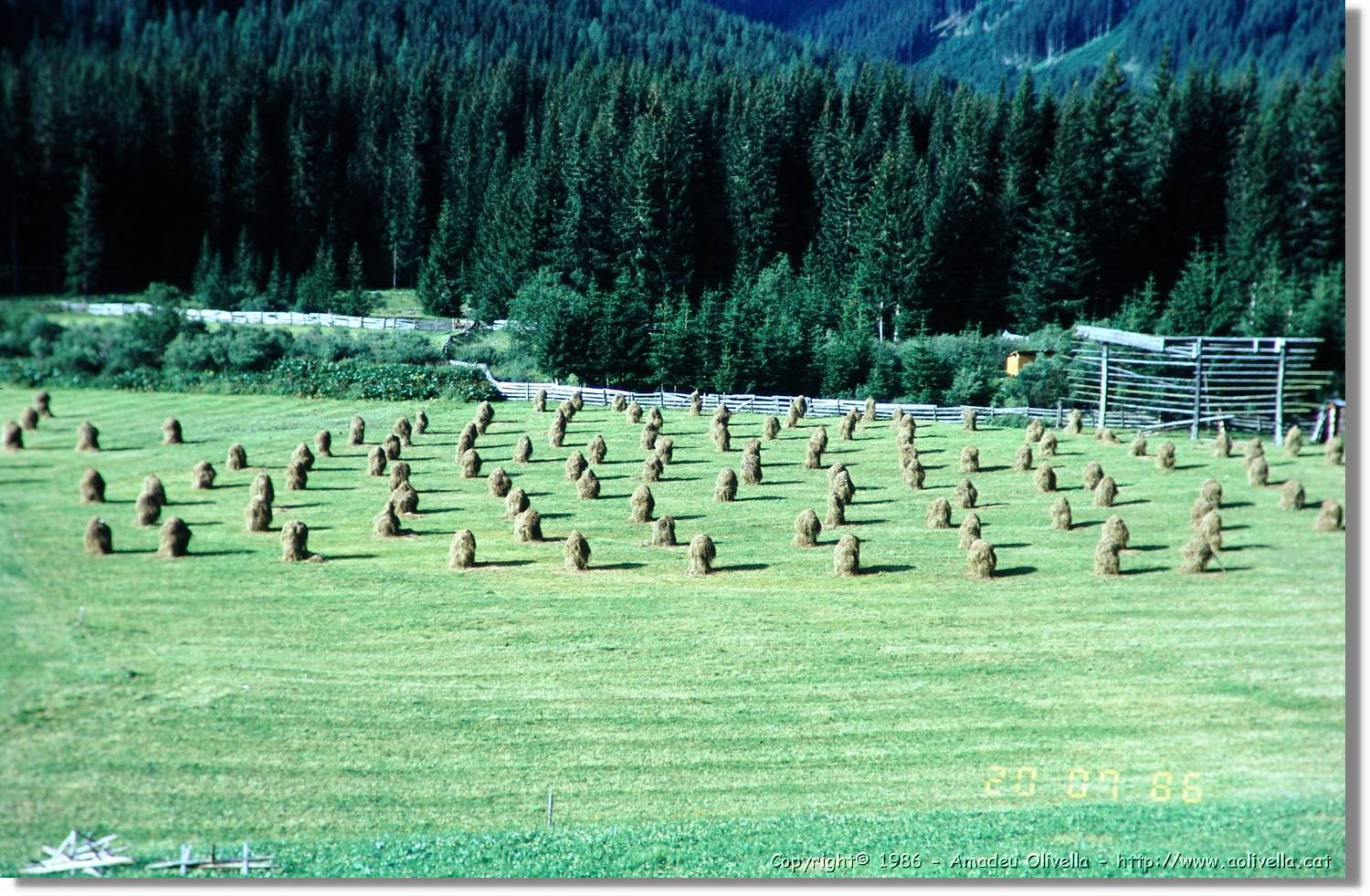 Lesachtal_110.jpg