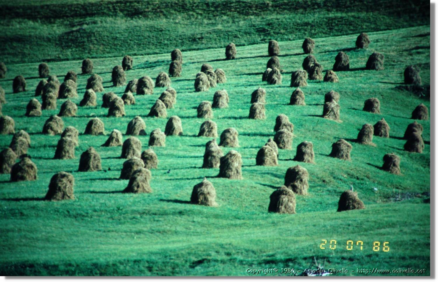 Lesachtal_112.jpg