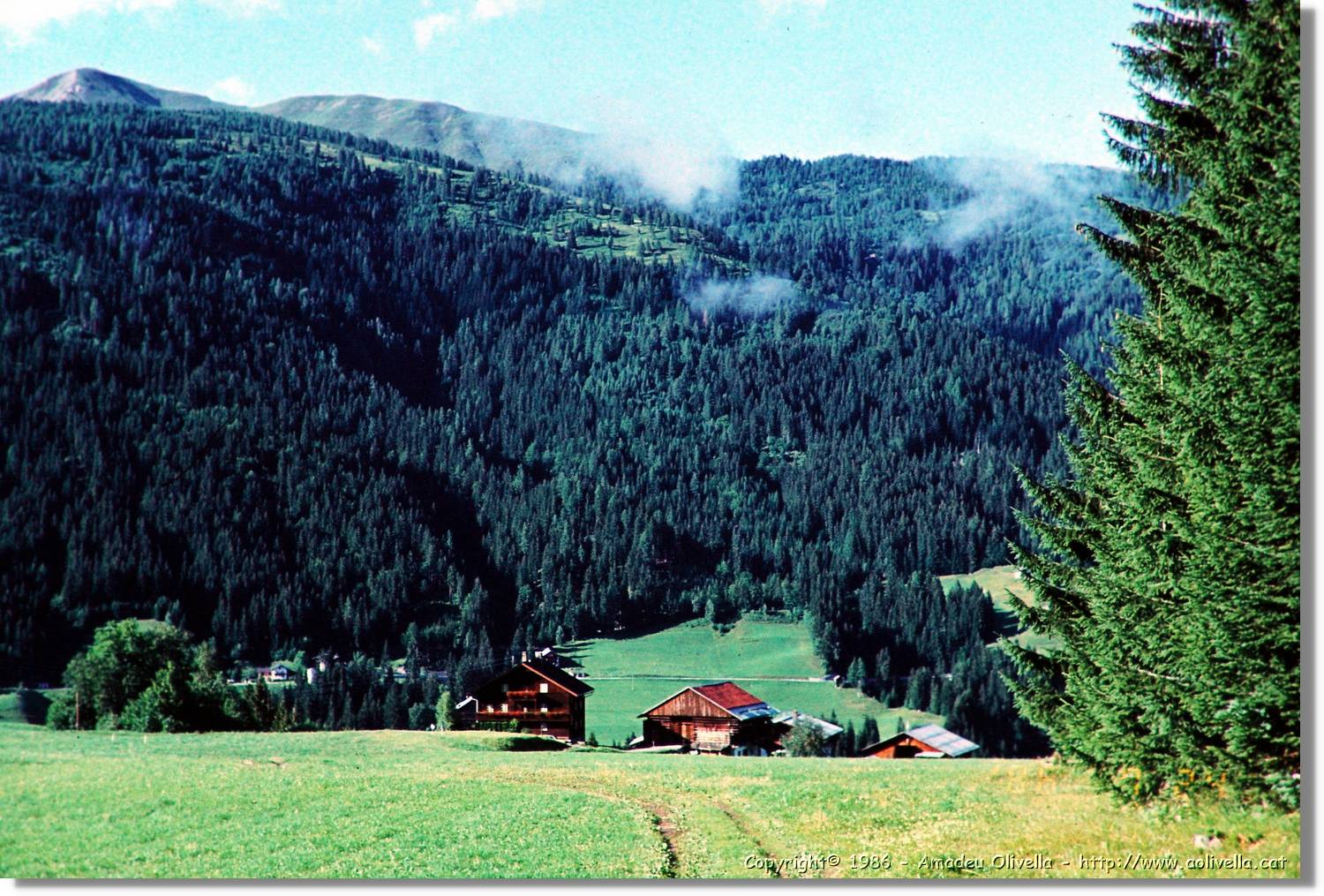Lesachtal_183.jpg