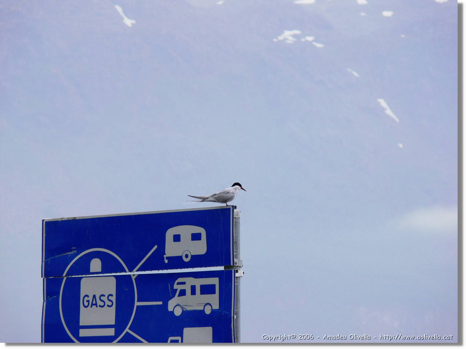 Tromso_063.jpg