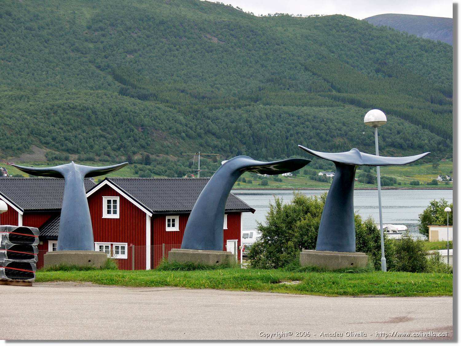 Tromso_307.jpg