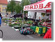 Tromso_094.jpg