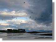 Tromso_212.jpg