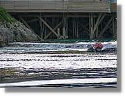 Tromso_214.jpg