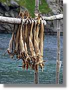 Tromso_420.jpg