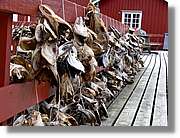Tromso_431.jpg