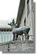 Tromso_494.jpg