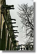 Paris_127.jpg