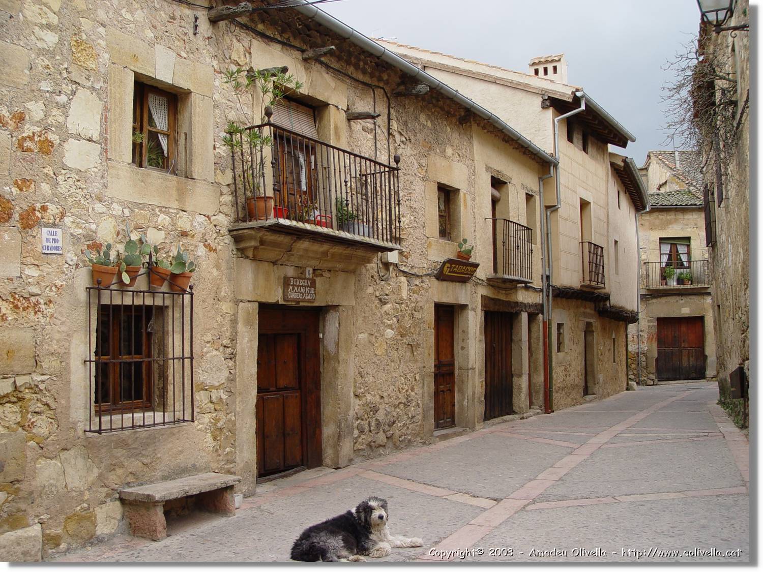 Pedraza_61.jpg