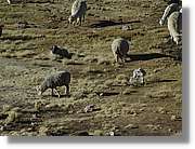 Arequipa_215.jpg