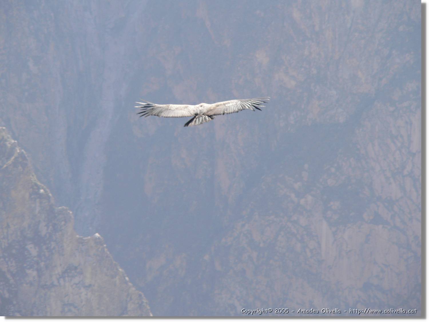 Colca_086.jpg