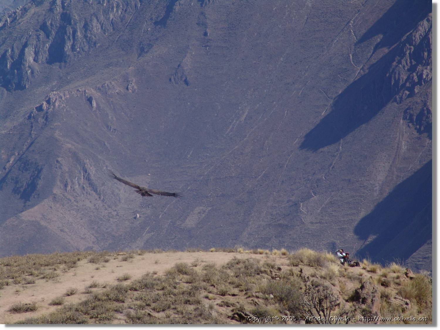 Colca_101.jpg