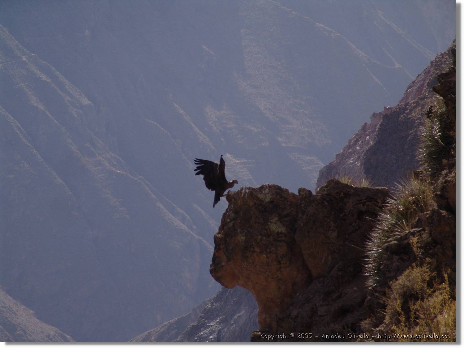 Colca_105.jpg