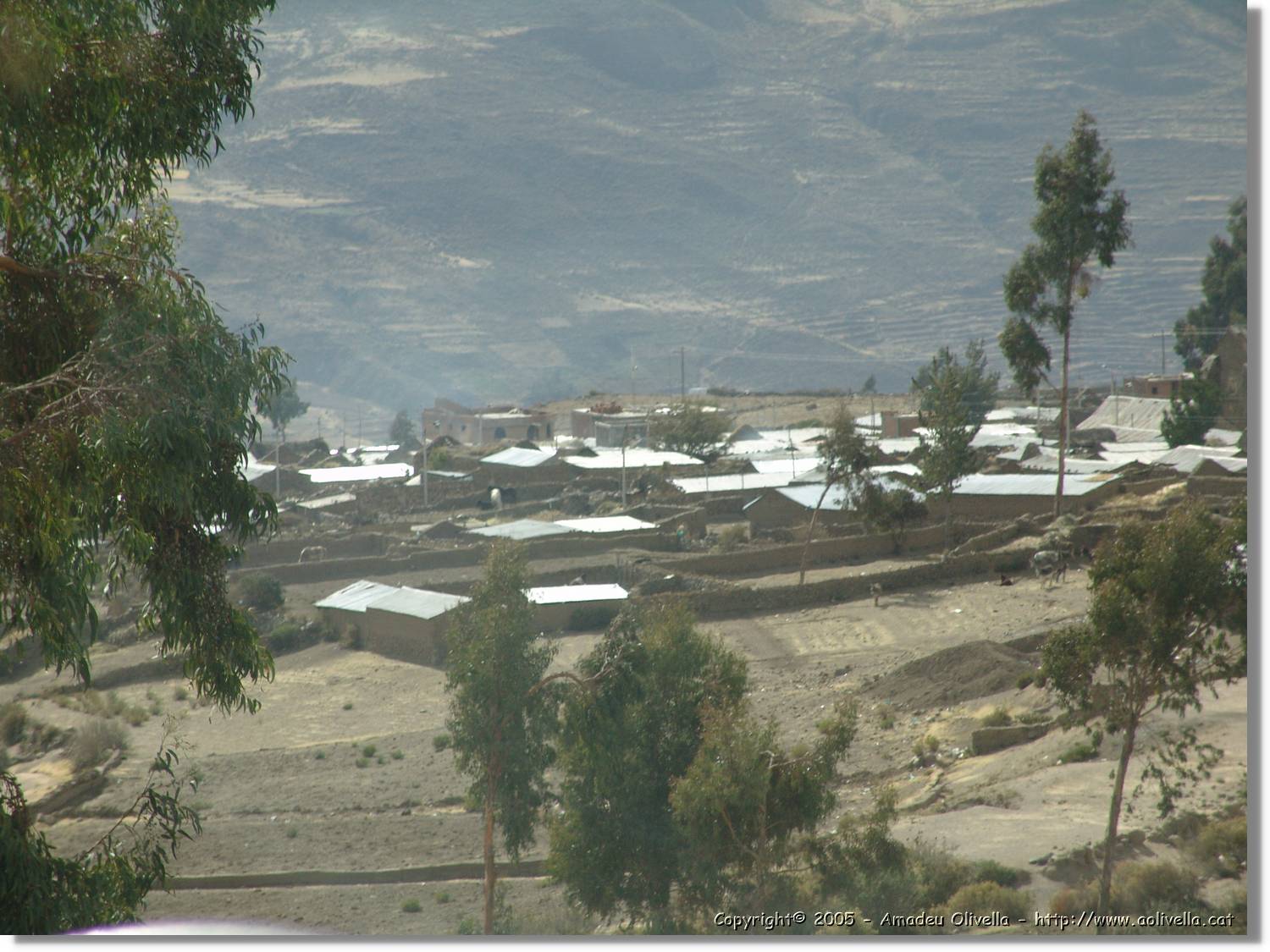 Colca_109.jpg