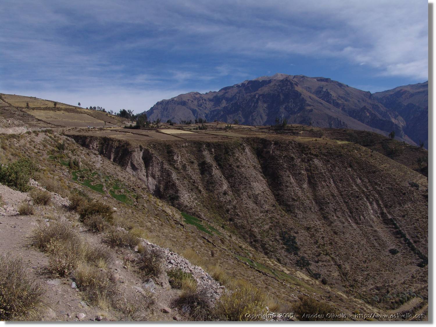 Colca_112.jpg
