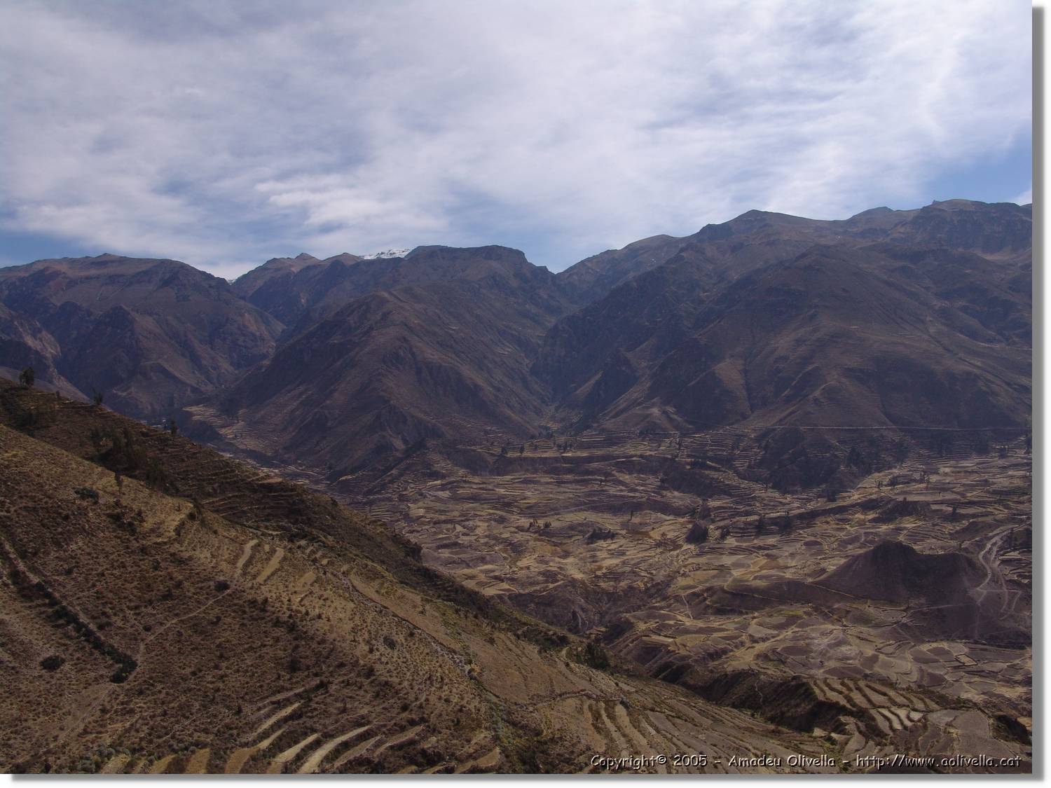 Colca_114.jpg