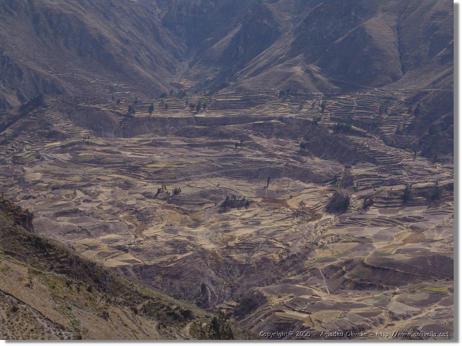 Colca_120.jpg
