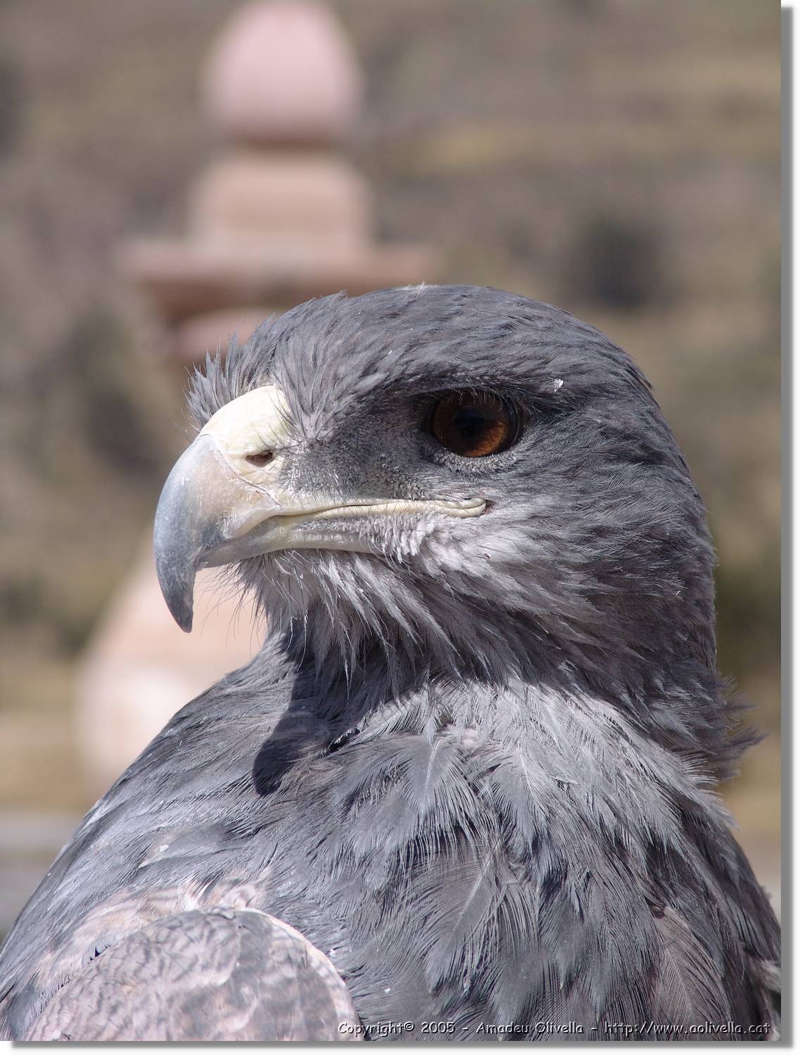 Colca_138.jpg