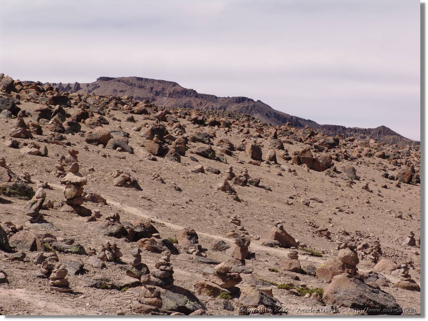 Colca_158.jpg