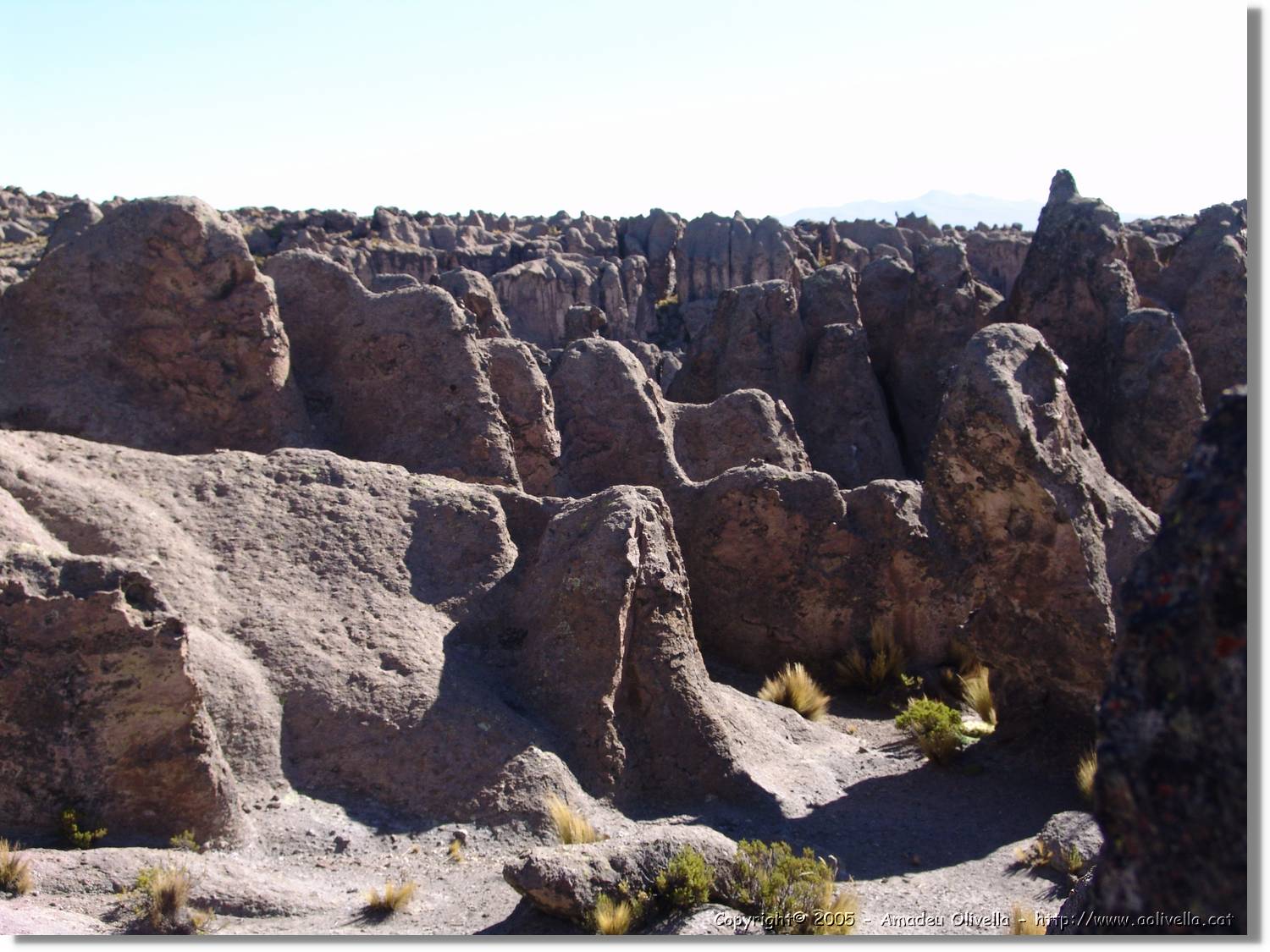 Colca_187.jpg
