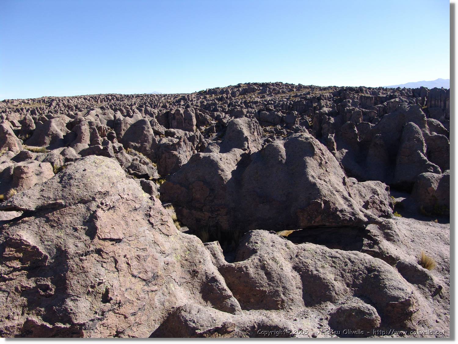 Colca_195.jpg