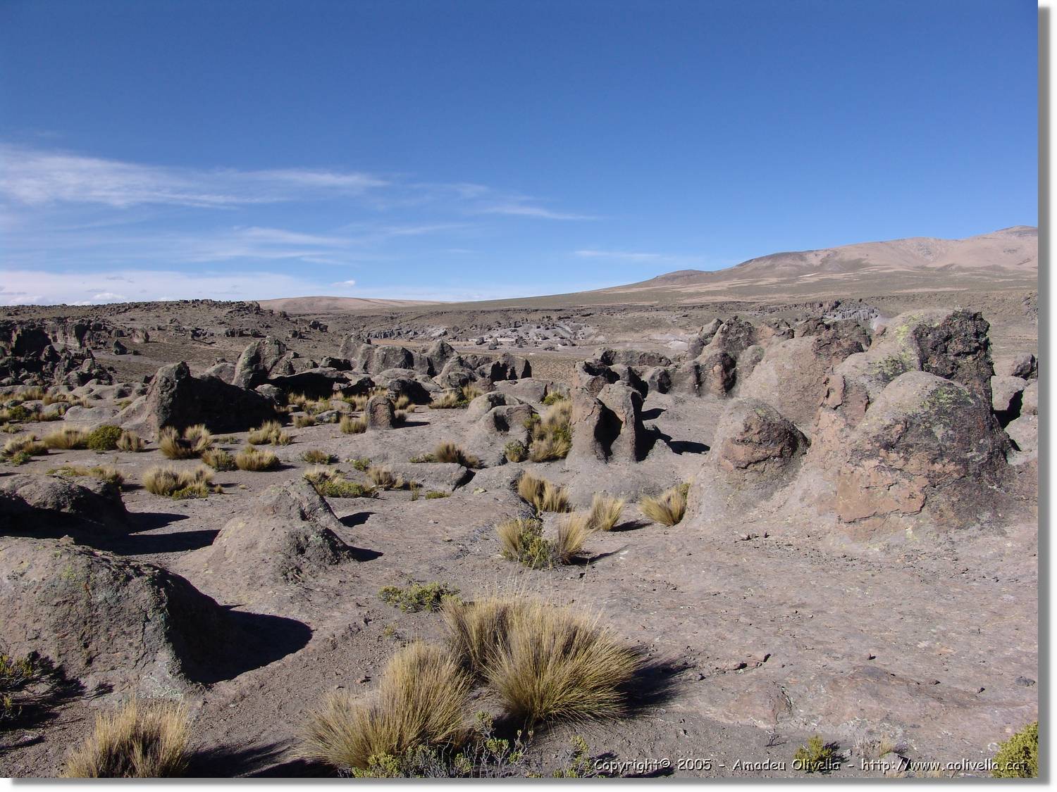 Colca_197.jpg