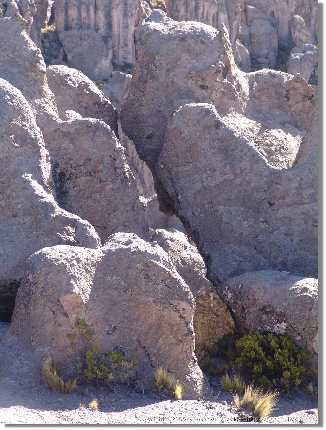 Colca_198.jpg
