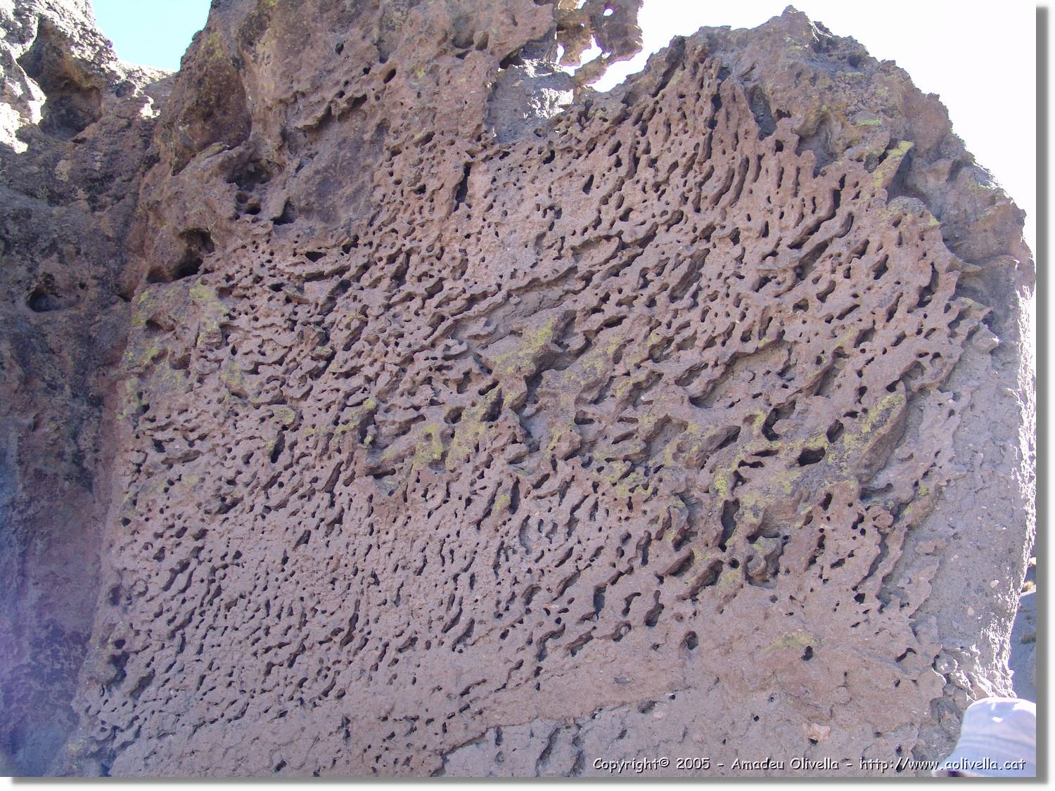 Colca_205.jpg