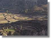 Colca_022.jpg