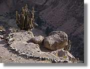 Colca_031.jpg