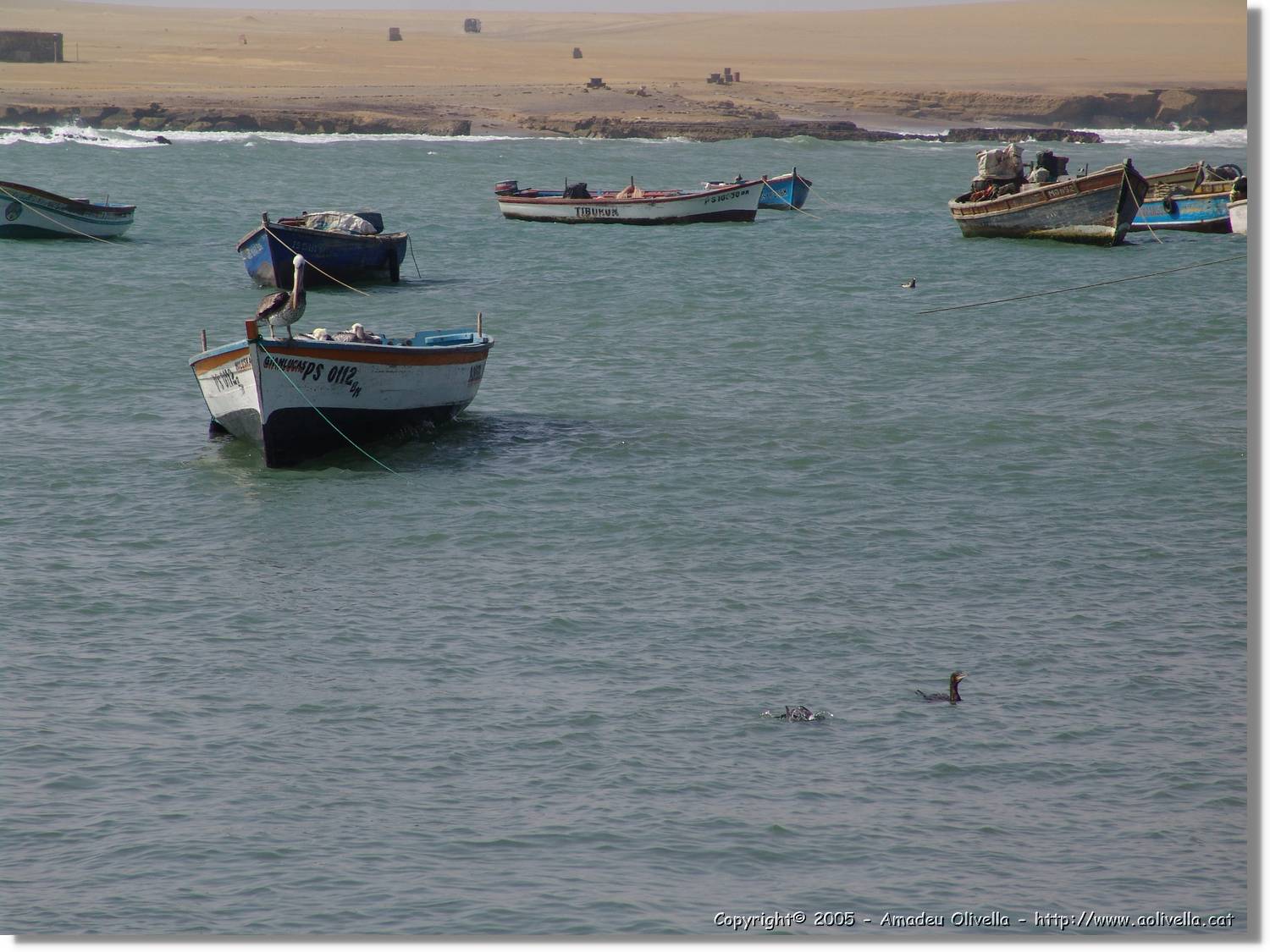 Lima_306.jpg