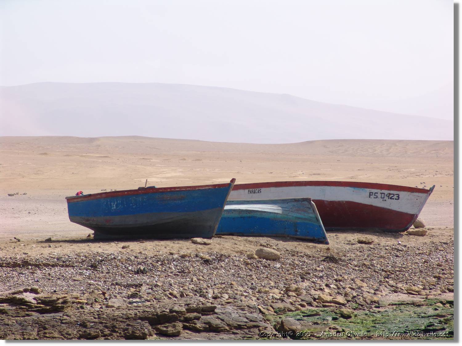 Lima_310.jpg